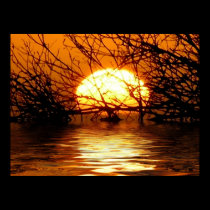 Liquid Sunset Poster posters