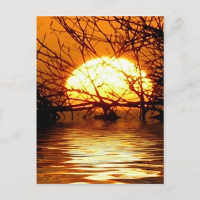 Liquid Sunset Vertical Postcard postcard