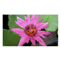 lirio de agua hermoso tarjetas de negocio