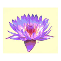 Lirio de Fuego/Fire Lilly posters by kamizzz Lirio de Fuego/Fire Lilly posters