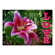 Lirios del amor felicitaciones