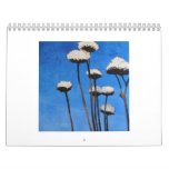Lisa Feather Paintings Wall Calendars
