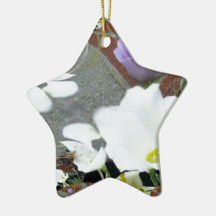 Lisa & The Bee Fractal Ornament
