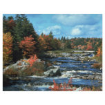 Liscombe River, Nova Scotia, Canada Custom Flyer