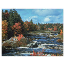 Liscombe River, Nova Scotia, Canada Custom Flyer
