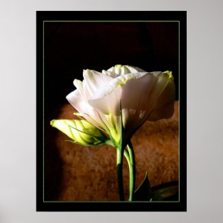 Lisianthus Blossom print