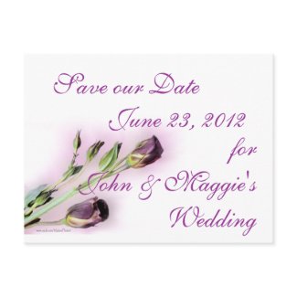 LisiSaveOurDate-customize as desired postcard