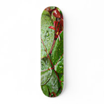 LIST RAIN SKATE BOARD DECK