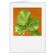 Listeningplant cards by briancody Listeningplant cards