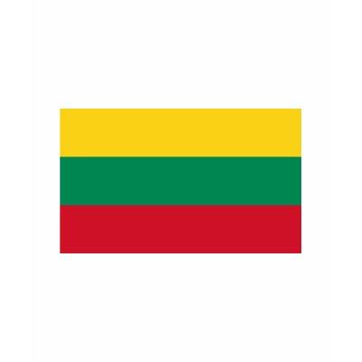 Lithuania FLAG International Tshirt by flagshirt