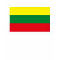 Lithuania Flag T-shirt