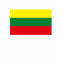 Lithuania Flag T-shirt