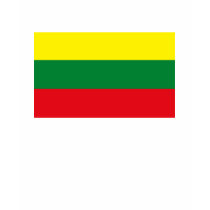 Lithuania Flag T-shirt by FlagTshirts Lithuania Flag T-shirt