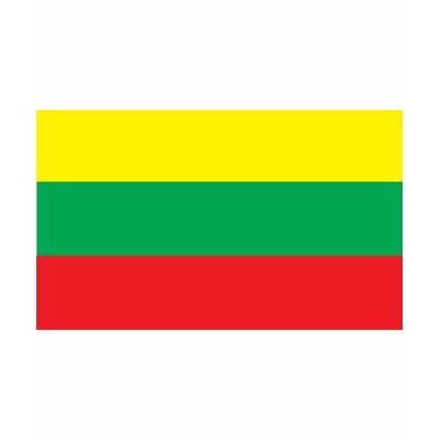 Lithuania Flag T Shirt by teyes143