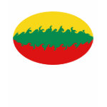 Gnarly Lithuanian Flag T-Shirt