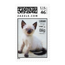 Litlle things come in big packages postage stamps