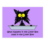 Litterbox Cat Postcards