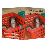 Little Alfred -  Baby Orangutan Binders