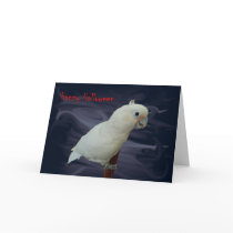 Little Angel cards