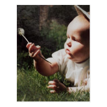 Little angel post cards