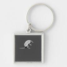 little armadillo keychains