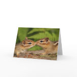 Little baby chipmunks nuzzling card