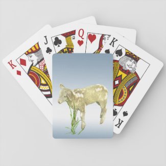 Little Baby Lamb and Blue Sky Playing Cards