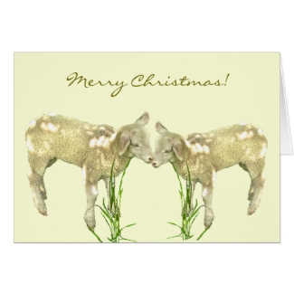 Little Baby Lambs on Yellow Christmas Card