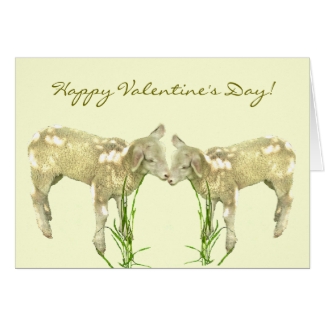 Little Baby Lambs on Yellow Valentines Day  Card