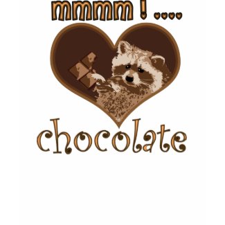little bandit racoon shirt
