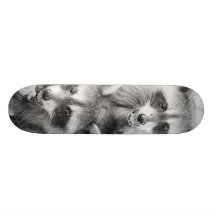 Little Bandits Skateboards