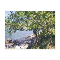 Little Bay Park tree and rocks postcards by BeautyUnlimited Little Bay Park tree and rocks postcards
