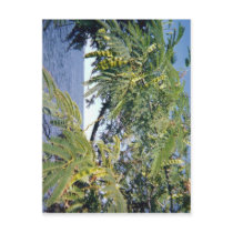 Little Bay Park trees with seedpods postcards by BeautyUnlimited Little Bay Park trees with seedpods postcards