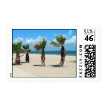 LITTLE BEACH PALMS postage