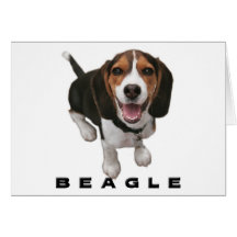 Little Beagle Cards