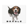 Little Beagle Post Card