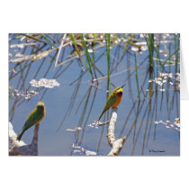 Little Bee Eater birds Greeting Cards