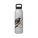 Little Bird Blue, 24oz liberty water bottle water bottles