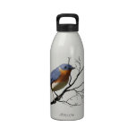 Little Bird Blue, 32oz liberty water bottle water bottles