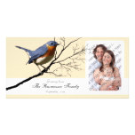 Little Bird Blue, customizable photo cards