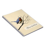 Little Bird Blue, notebooks