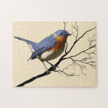 Little Bird Blue, puzzles