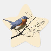 Little Bird Blue, stickers