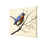 Little Bird Blue, canvas prints