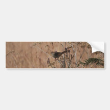 Little bird camouflaged in winter bumper sticker