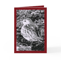 Little Bird cards by MoiraAshleigh Little Bird cards