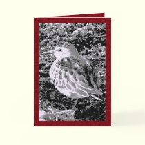 Little Bird cards by MoiraAshleigh Little Bird cards
