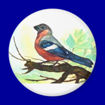 little bird magnets
