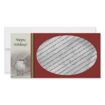 Little Bird photo cards
