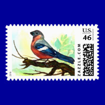 little bird postage